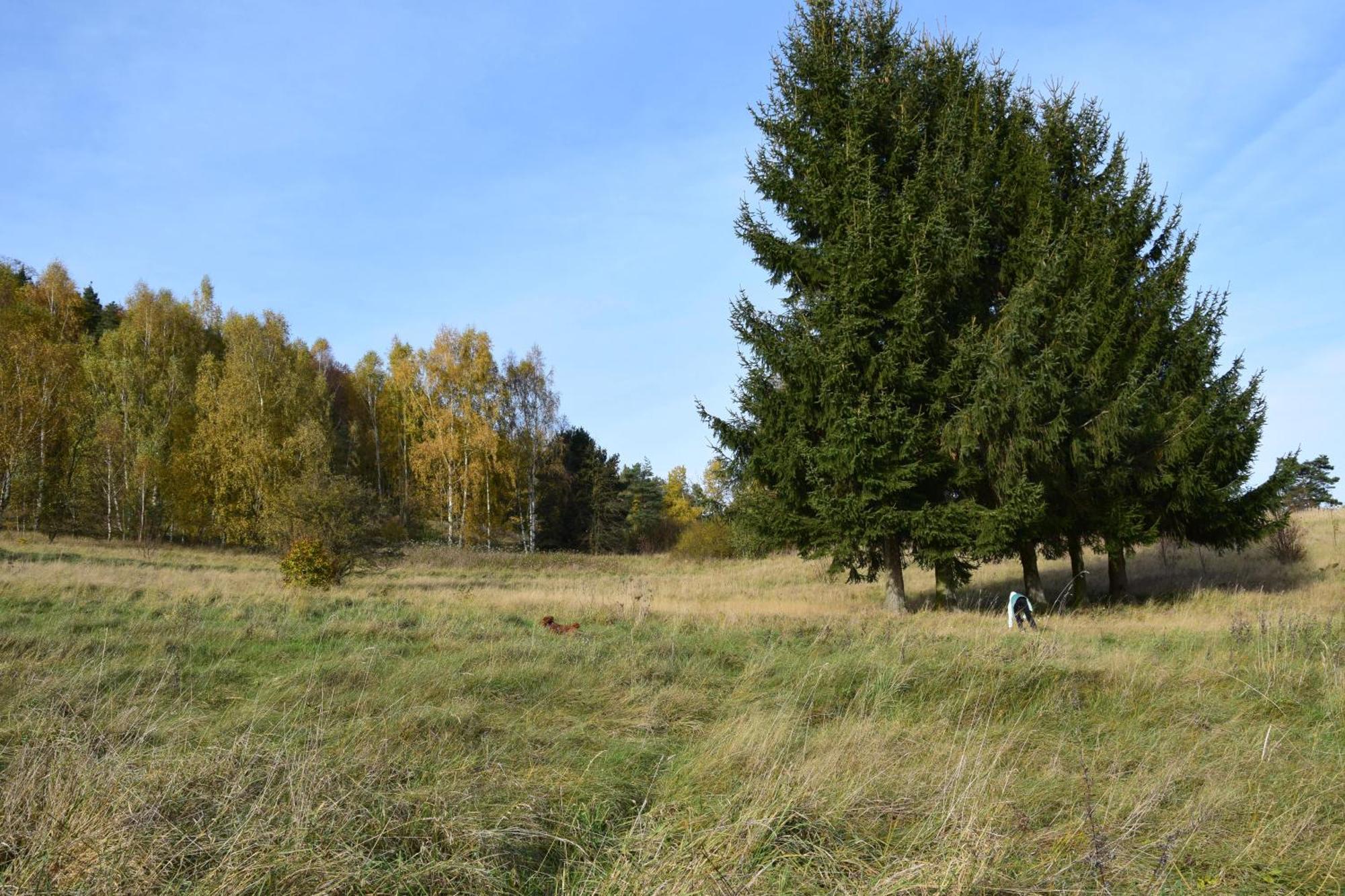 Osada Osterberg - Miejsce Z Misja * Wambierzyce